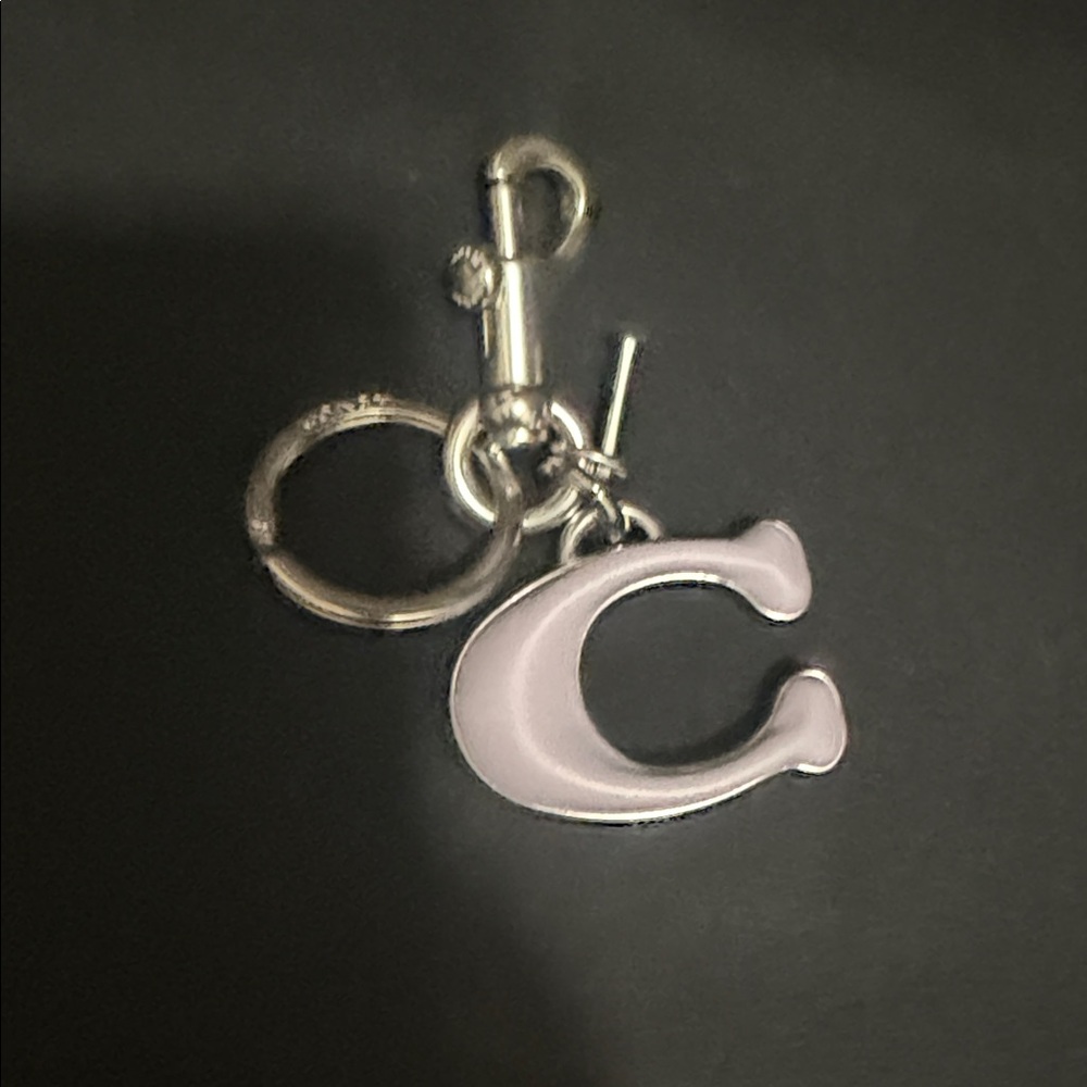 Silver and Purple Keychain Accessory